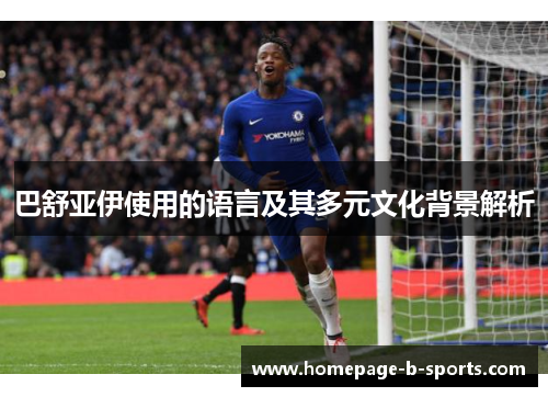 巴舒亚伊使用的语言及其多元文化背景解析 巴舒亚伊使用的语言及其多元文化背景解析